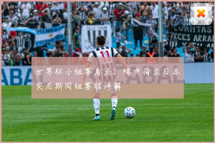 世界杯小组赛看点：瑞典荷兰日本突尼斯同组赛程详解